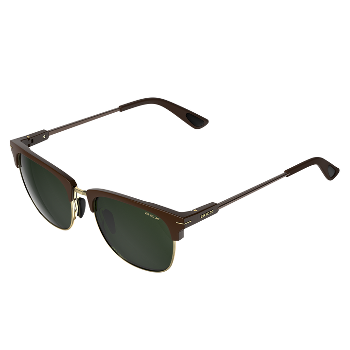 #color_chestnut-forest