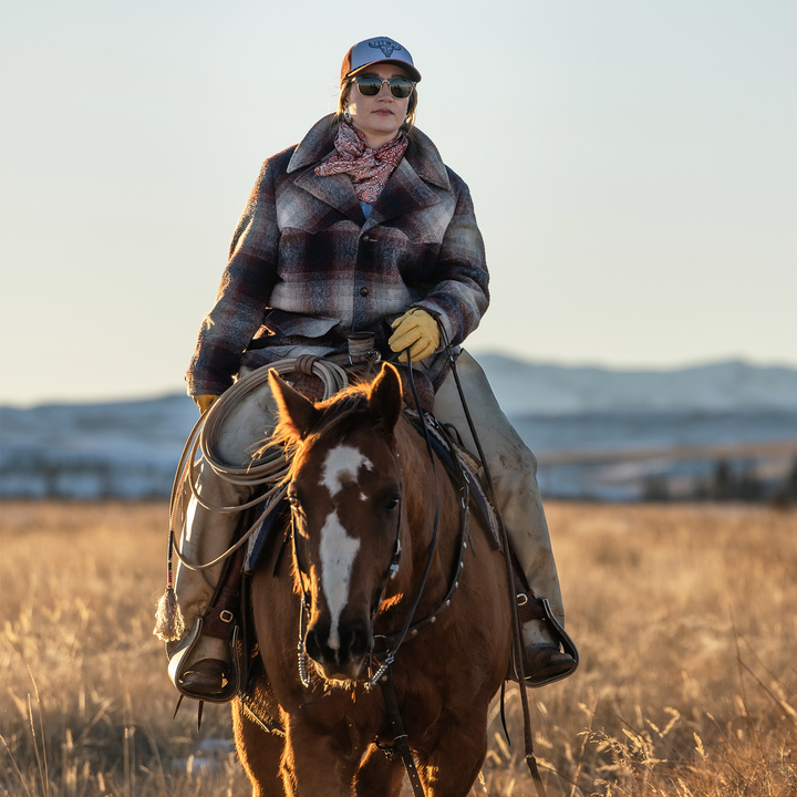 #color_chestnut-forest