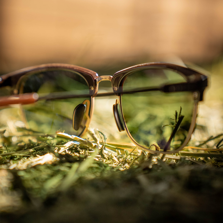 #color_chestnut-forest