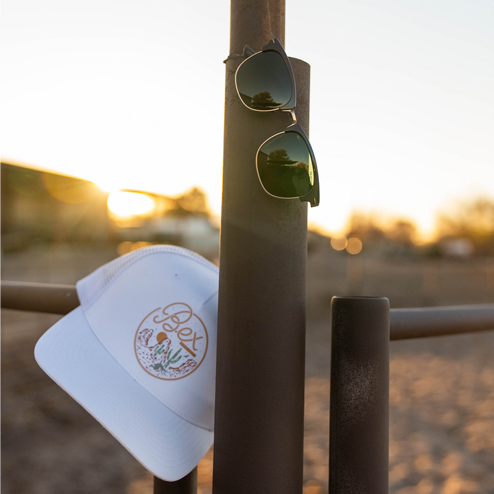 #color_chestnut-forest