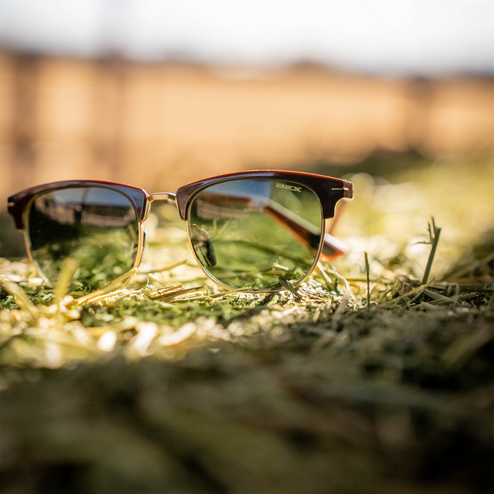 #color_chestnut-forest