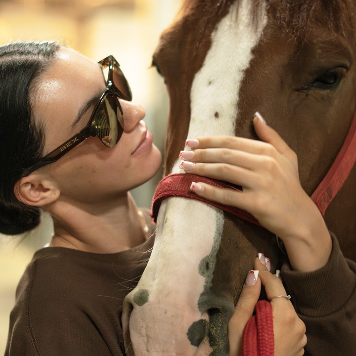 #color_clear-brown-brown-gold